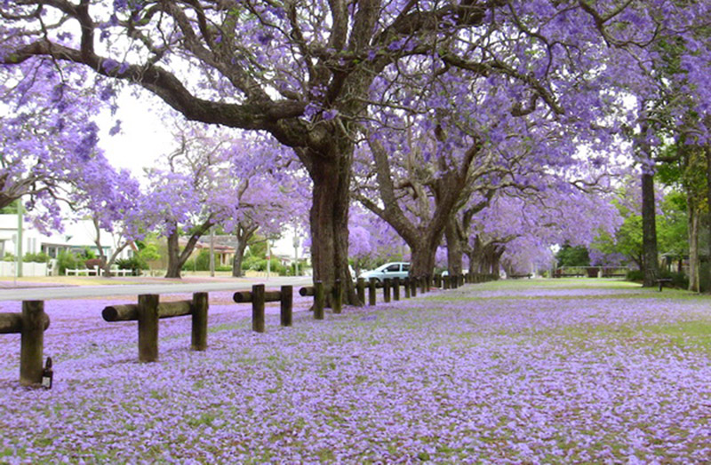 843B848B 79CD 42F2 BF62 18BCF92AC28D