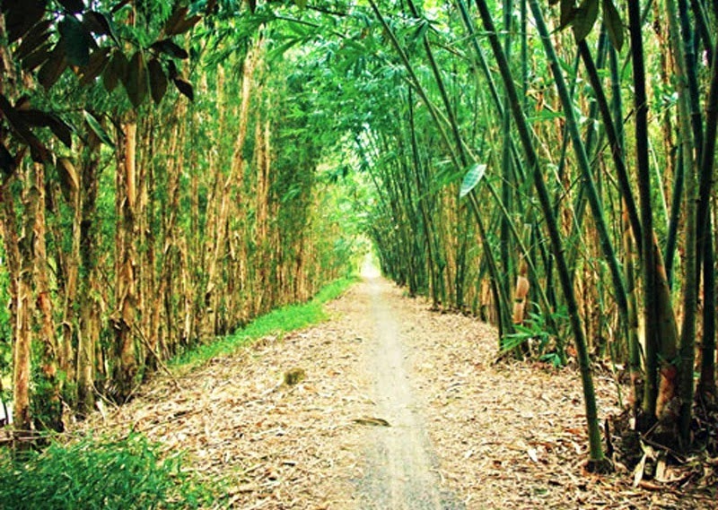 E6F55C30 672E 4FA3 AE02 233C633499B1