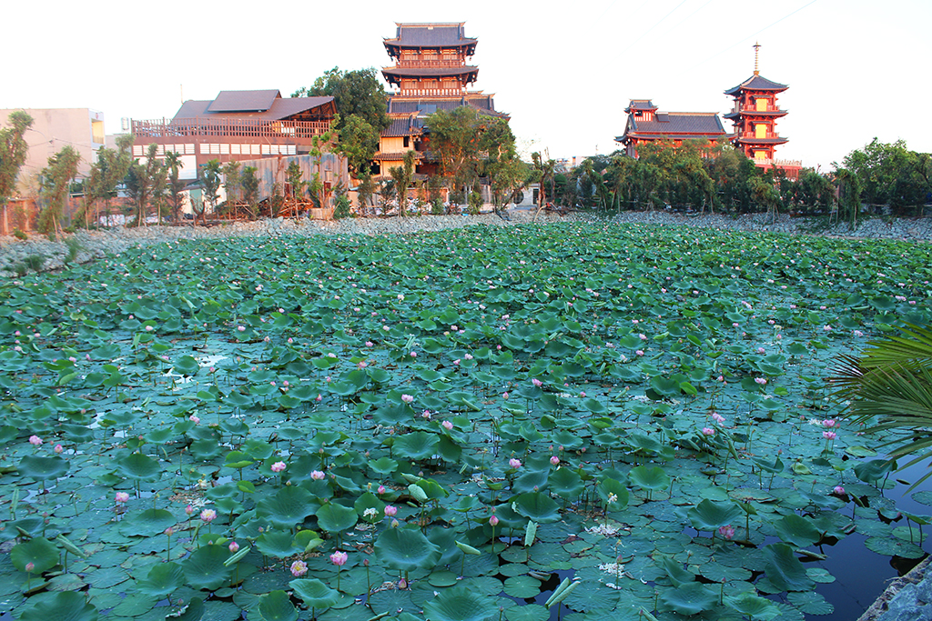 132edsr5465ythghgg54534