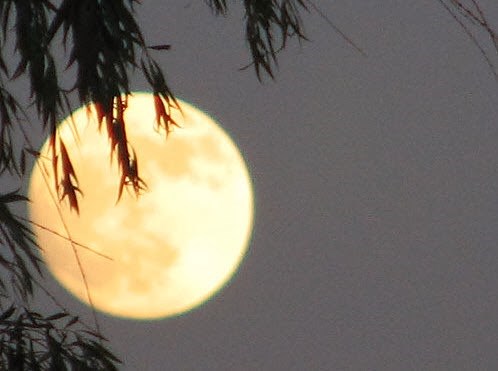 A1F38B23 A2FE 40B1 B739 C481D76BE91E 7554 00000650F82FB348