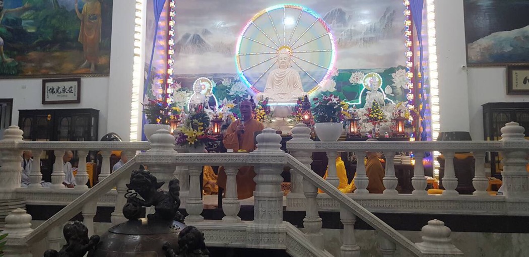 556A05F7 5D30 4EB6 8F1A 0C45911BF48D