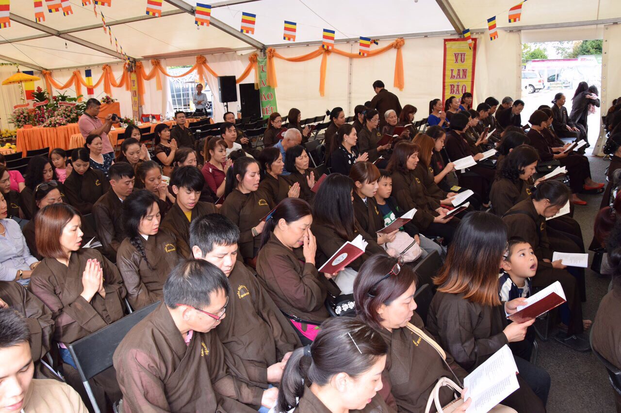 9BA40951 3511 4B44 B987 86E4A67890B8