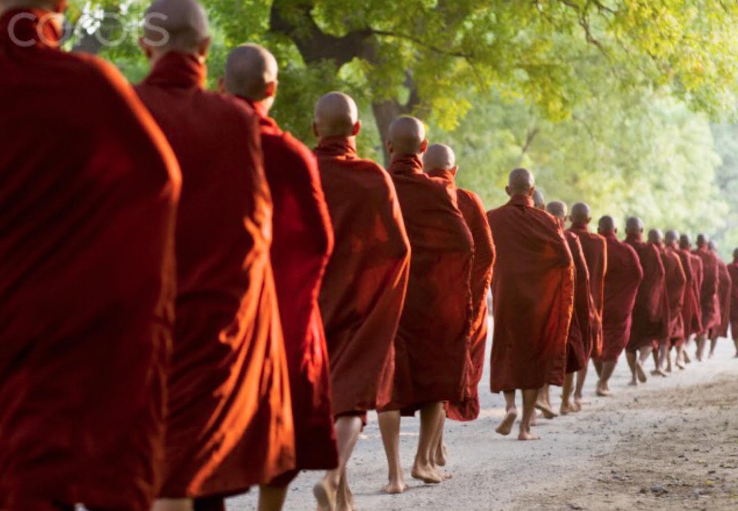 8A2C40A9 1C71 45E0 863D 4FB9BB6F4FCF