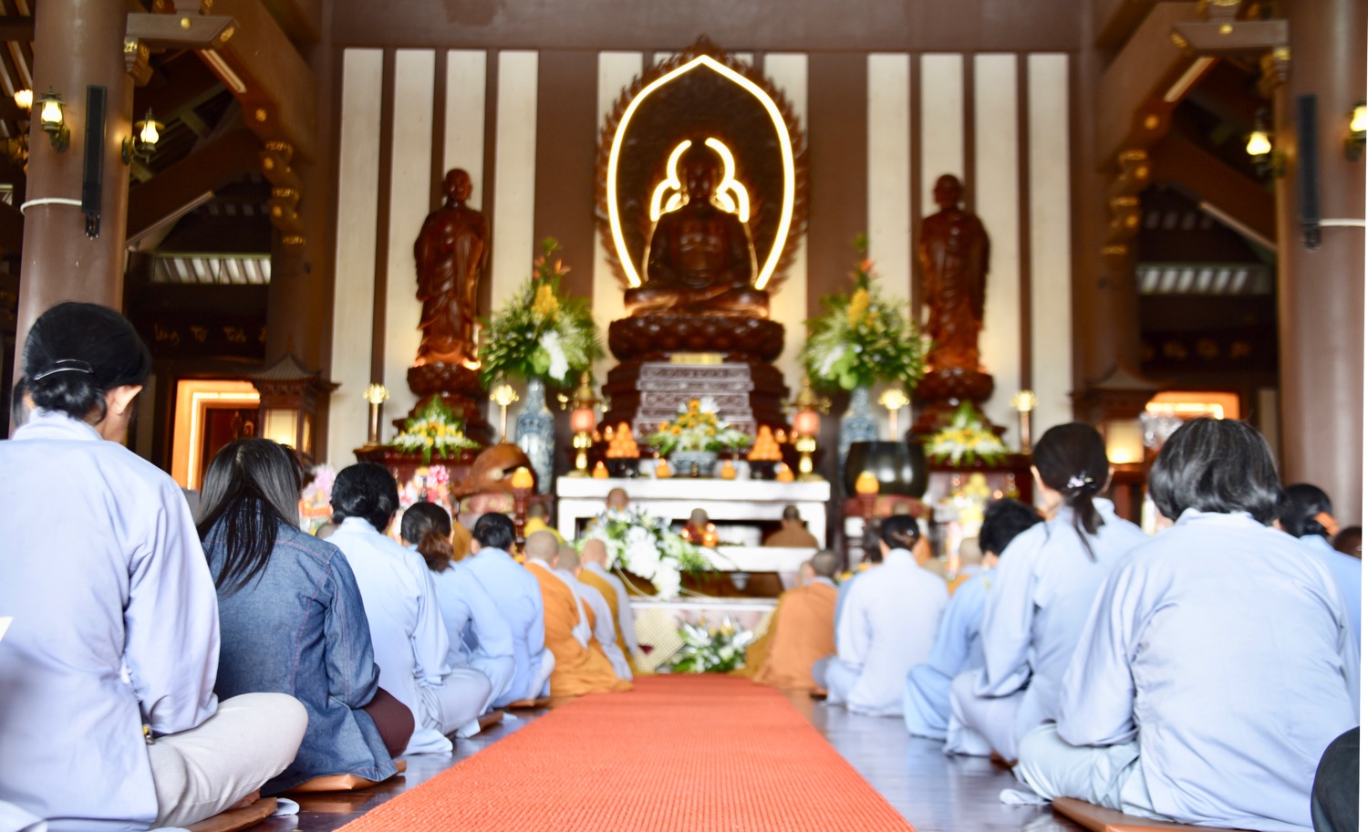 12C5AFCC 08CA 4D7A 8619 007761E2EBAE