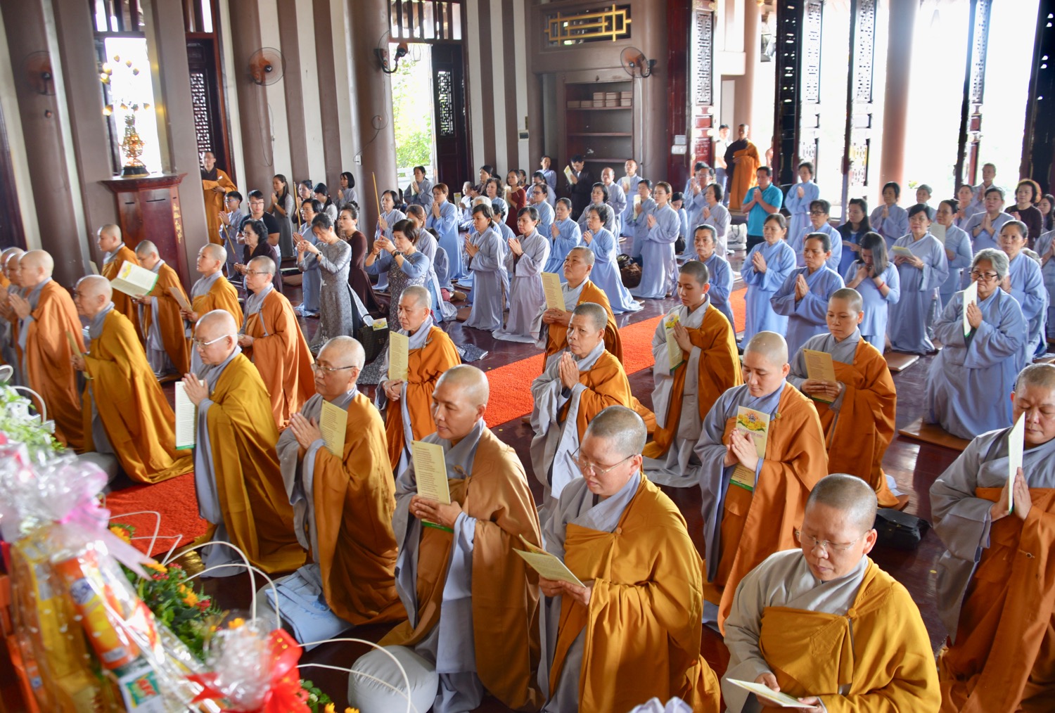 87B8F1BC 1D79 41C5 AEA1 29073C71E731