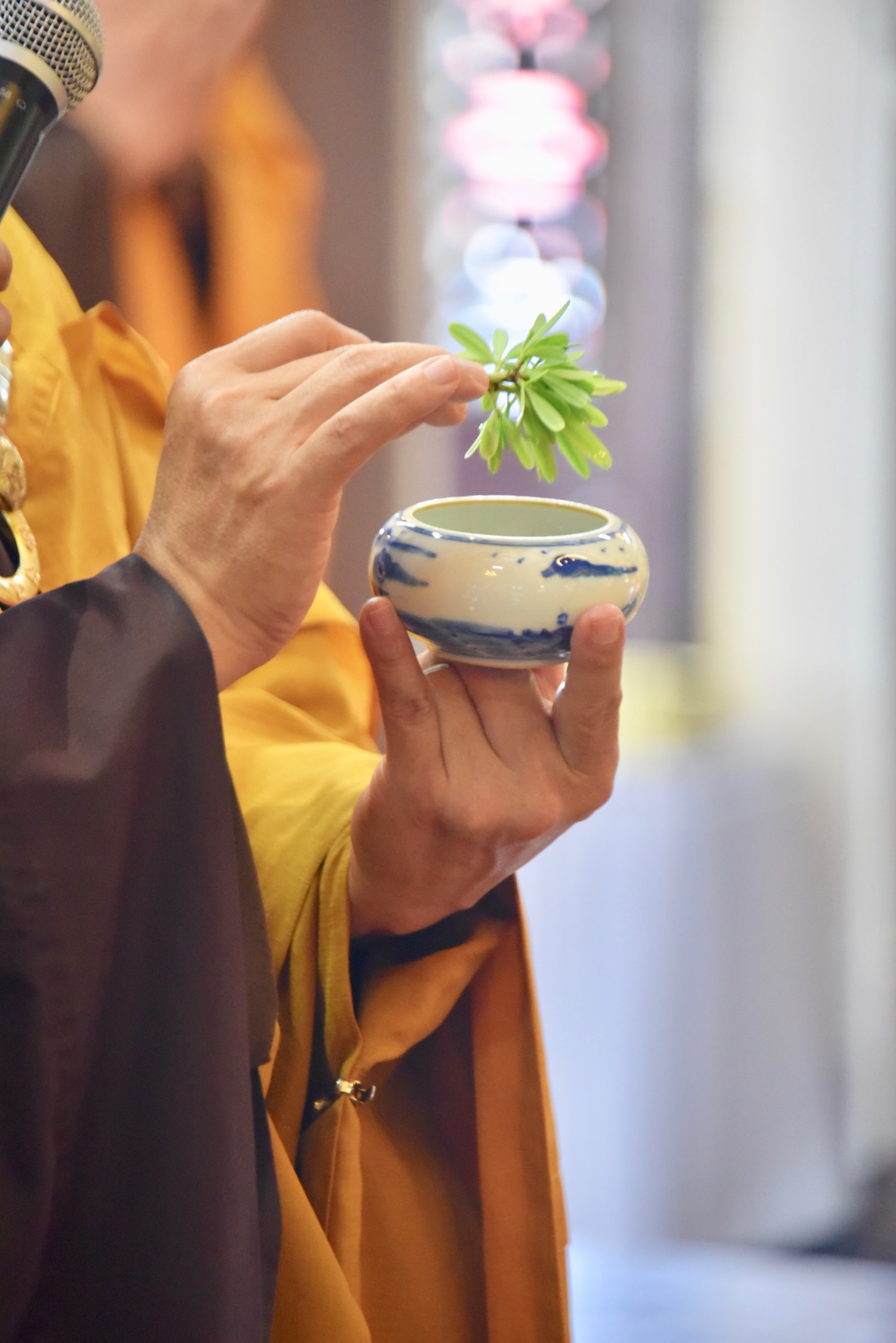 6BED9A72 19ED 457A 9D1E 790B07CC4D7C