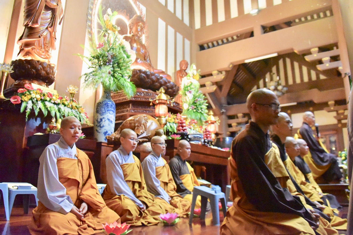 644FE336 D617 46EF BB0C F7FD24D79D89