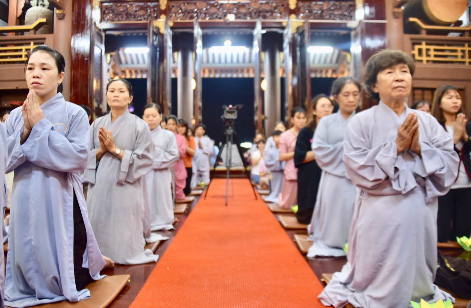 806F92F2 0506 4D1C 9EAD 1A38D90C33A3