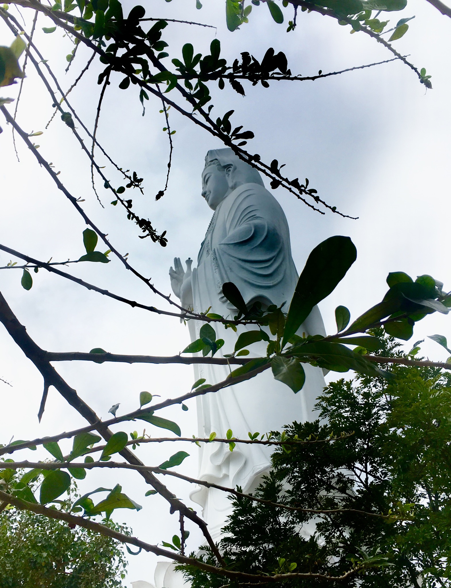 B0983B0C 576D 44F9 8E23 80C59B8A4829