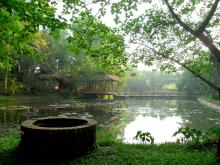 Ông đạo và giếng nước thơm trong
