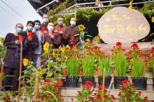 Hương Tình Mùa Xuân 