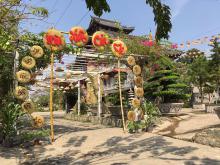 Ngẫm một chút xuân