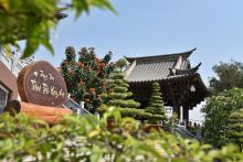 Sống cho sâu sắc và thảnh thơi