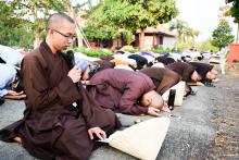 Mùa hợp tấu