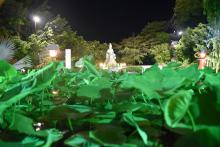 Tôi đang nghe