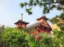 Thấy đời bình yên