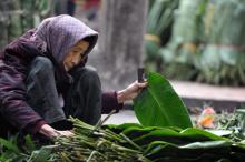 BÀI HÁT XUÂN NĂM ẤY