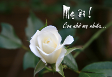 Mẹ ơi!...